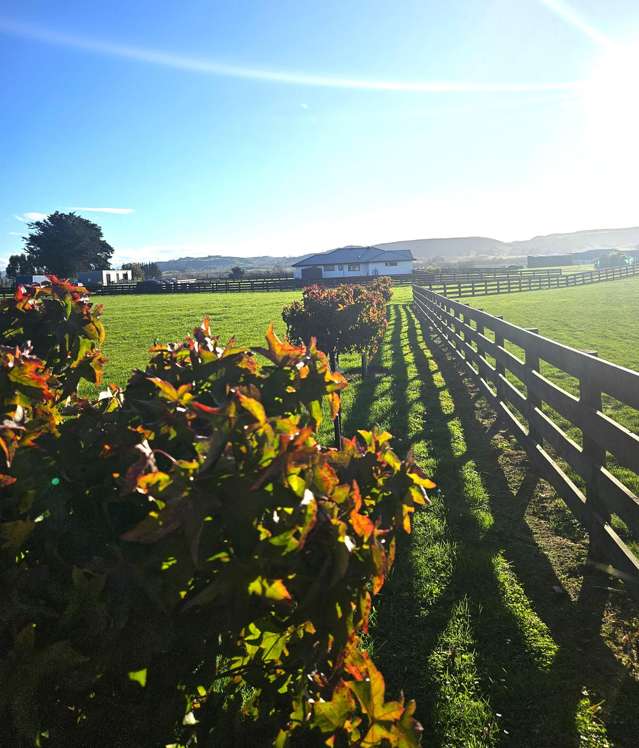 Lot 4 Whare Roto Drive Rd2, Waipukurau_2