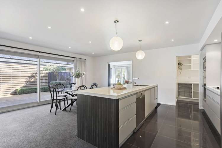 1 Tommy Street Pegasus_7