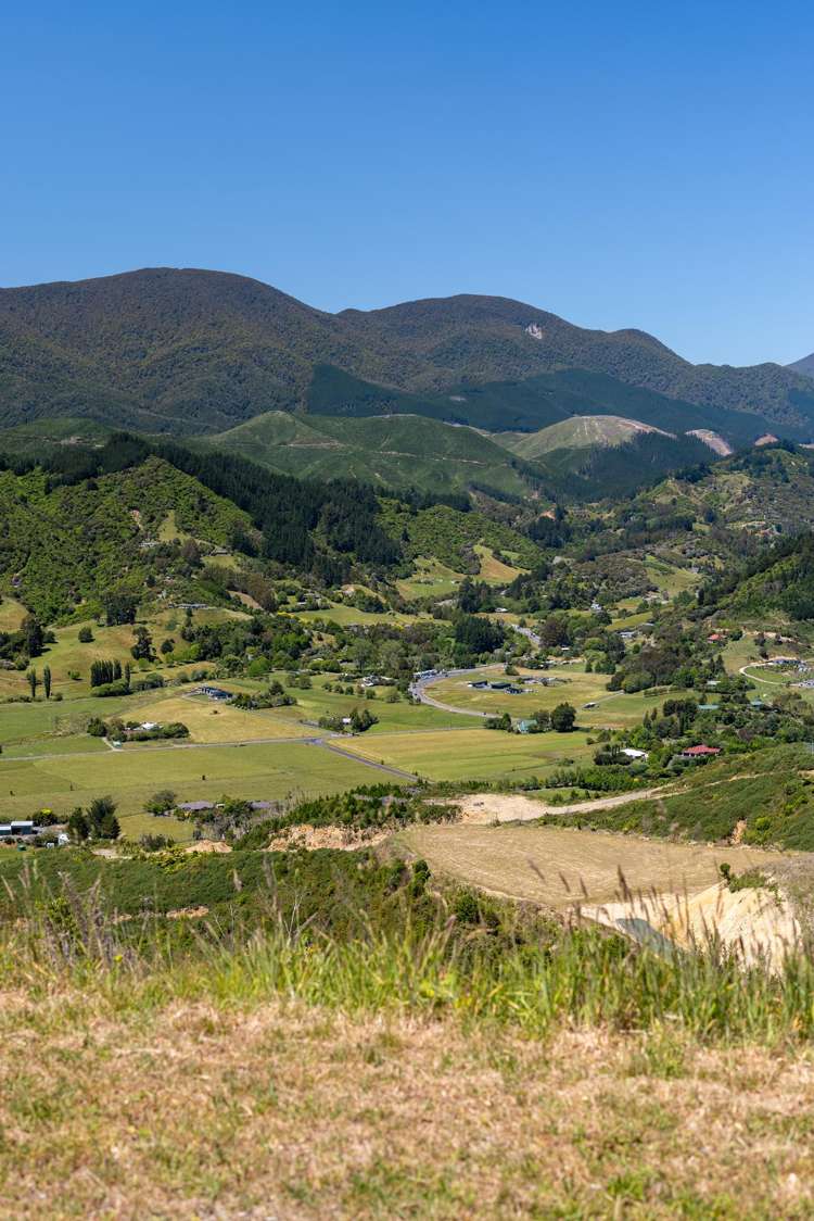 Cable Bay Road Hira_5