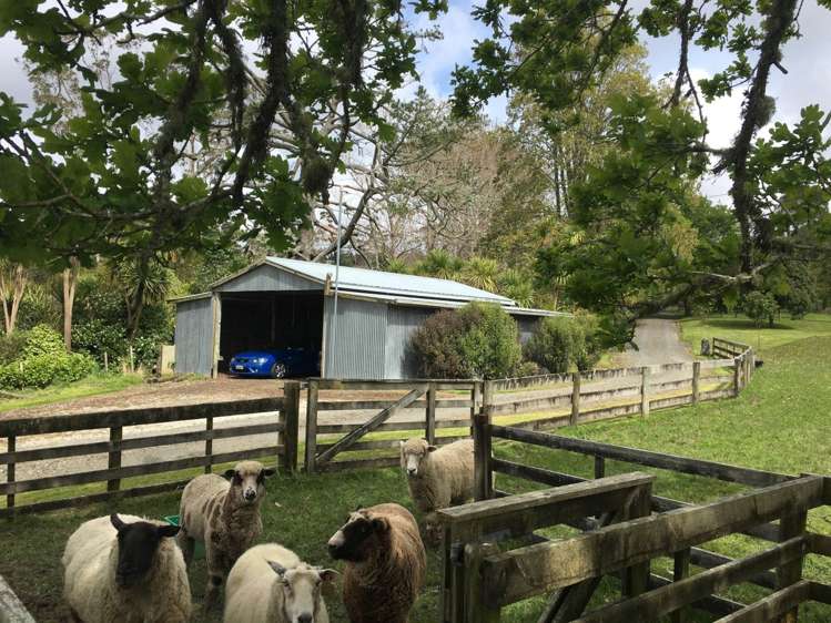 48 Durey Road Dairy Flat_21