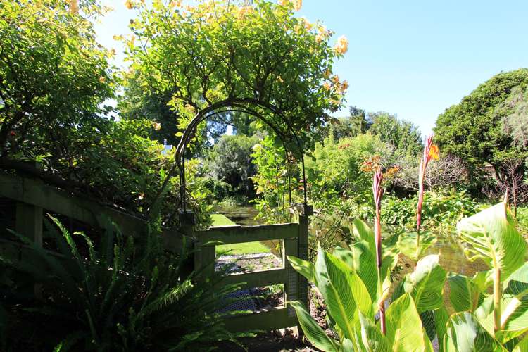 40 Kingwell Drive Springlands_20