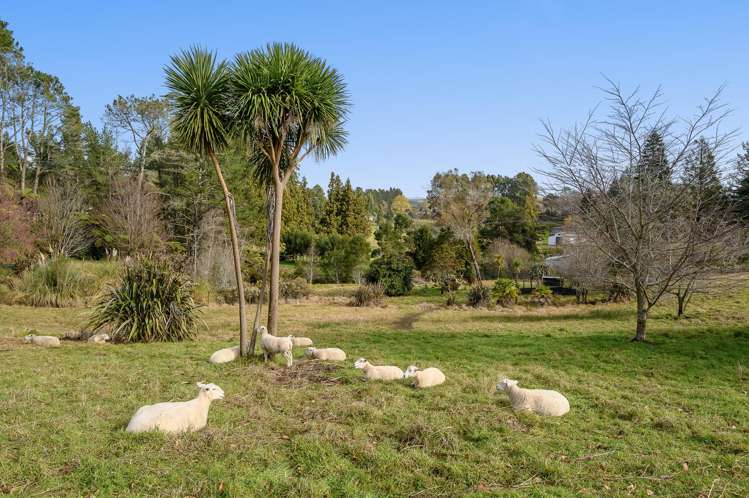 84 Tebbutt Road Lower Kaimai_4