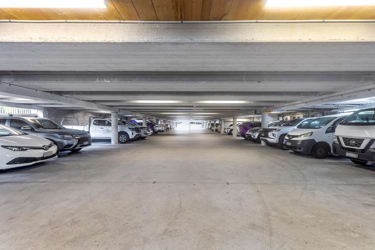 608A Rosebank Road Avondale_8