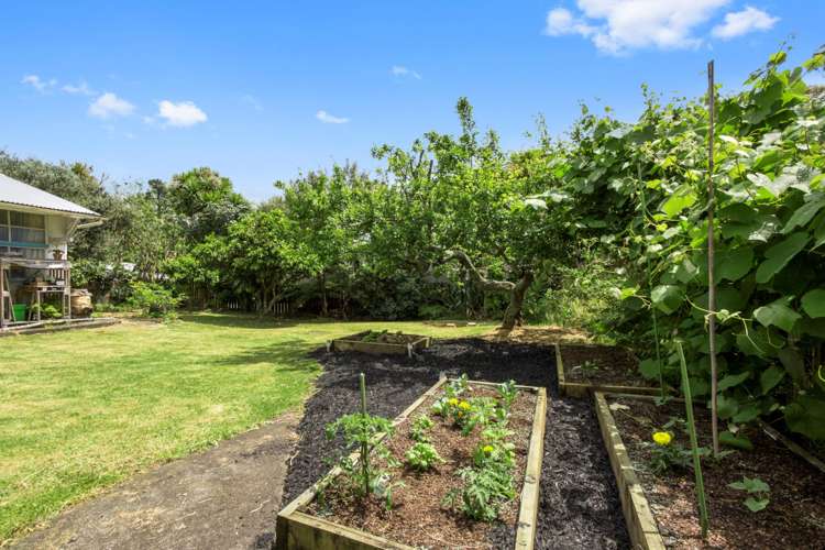 31 Nile Road Kelston_4