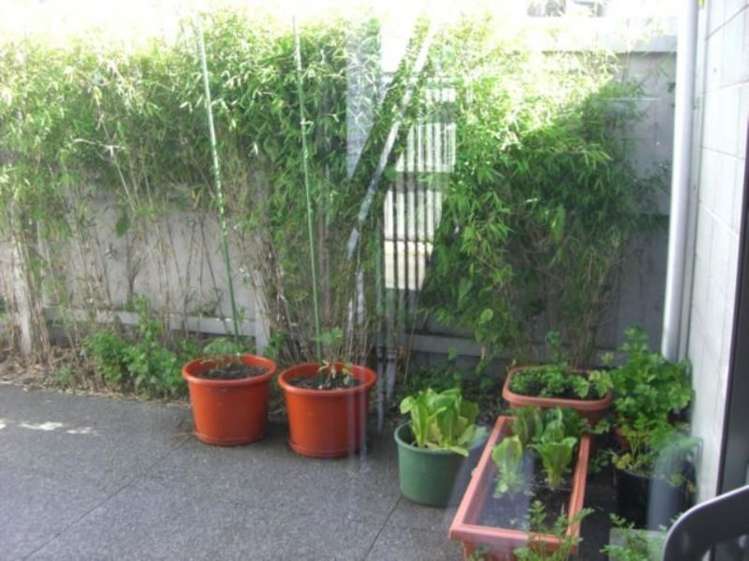 16 Sherborne Street Saint Albans_7