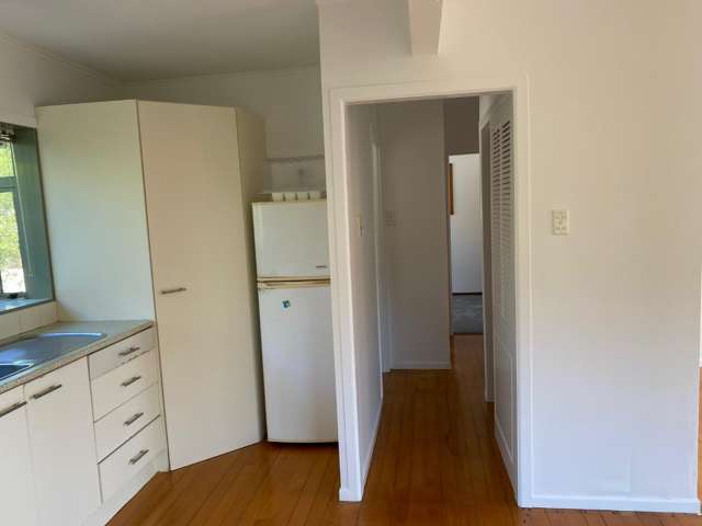 15C Saratoga Avenue Herne Bay_4