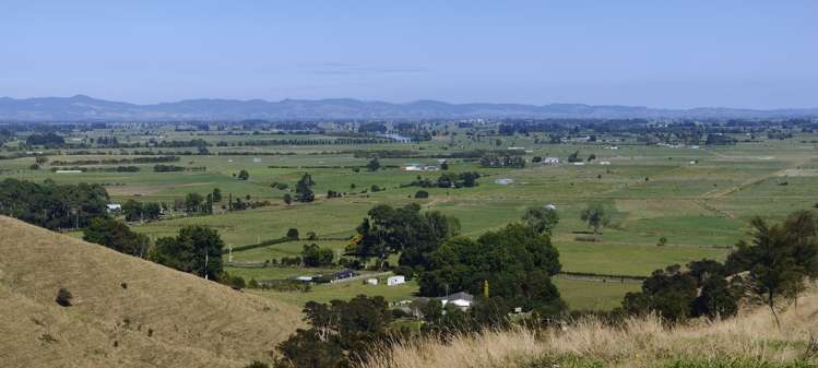 8328 Paeroa-Kopu Road Paeroa_0