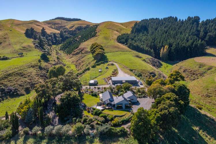 359 Hurunui Mouth Road Domett_4