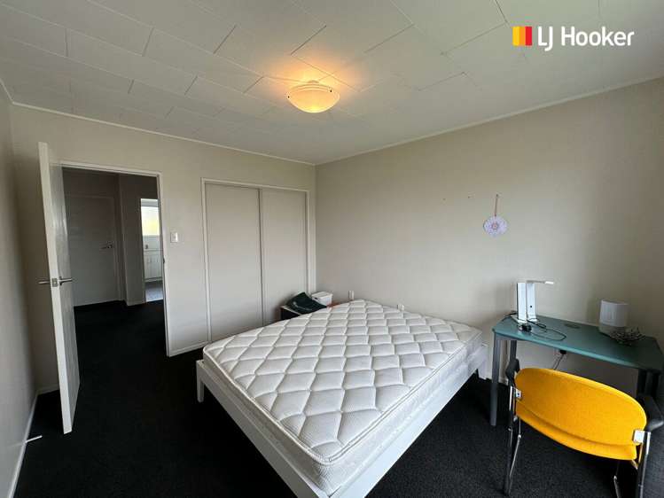 246 Larnach Road Waverley_12