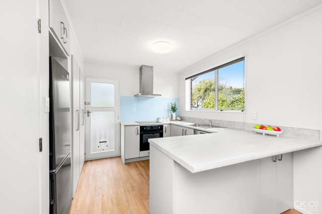 1/31 Gemstone Drive Birchville_1