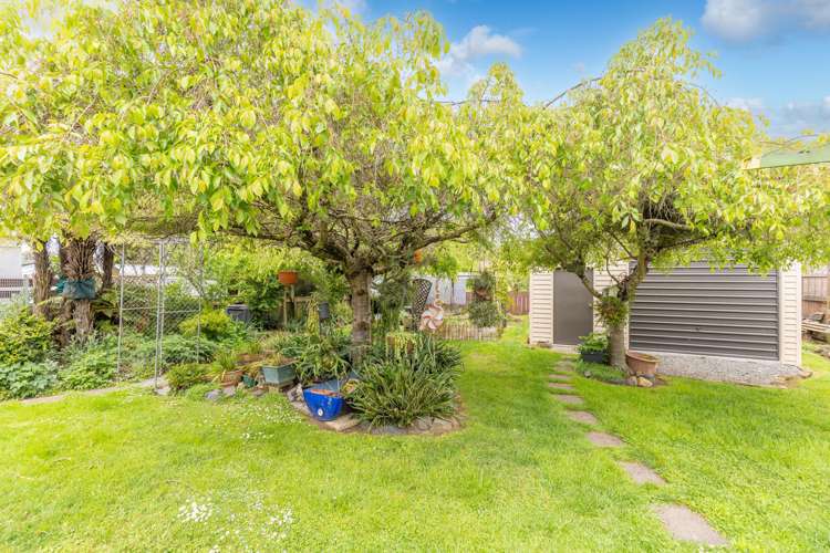 490 Park Road Te Awamutu_26