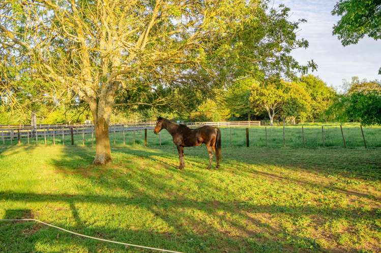 446 Mystery Creek Road Ohaupo_18