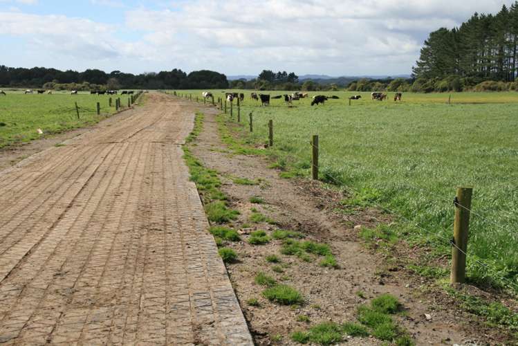 2403 Mountain Road Tariki_13