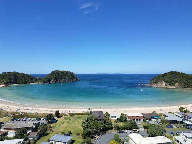 Beachfront Matapouri