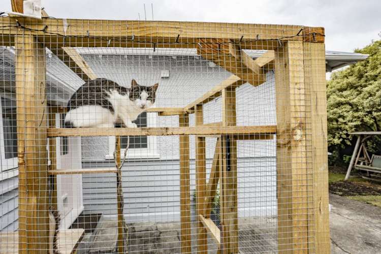 54 Good Street Rangiora_24