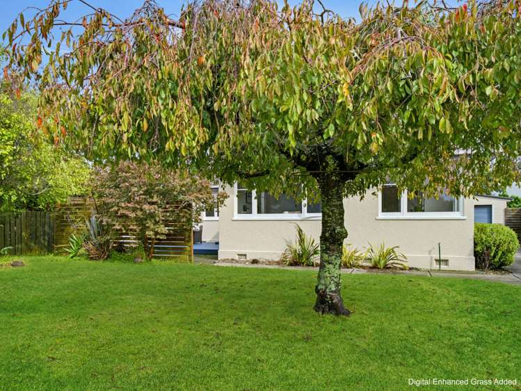 22 Ferry Road Whakatane_20