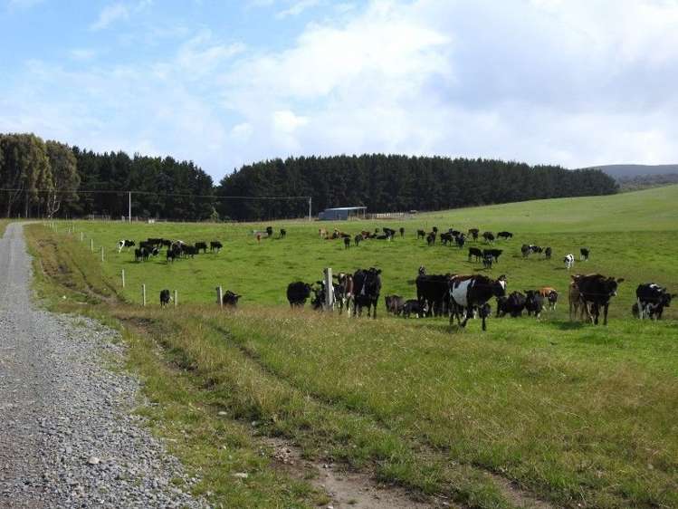 1214 Orepuki Riverton Highway Round Hill_5