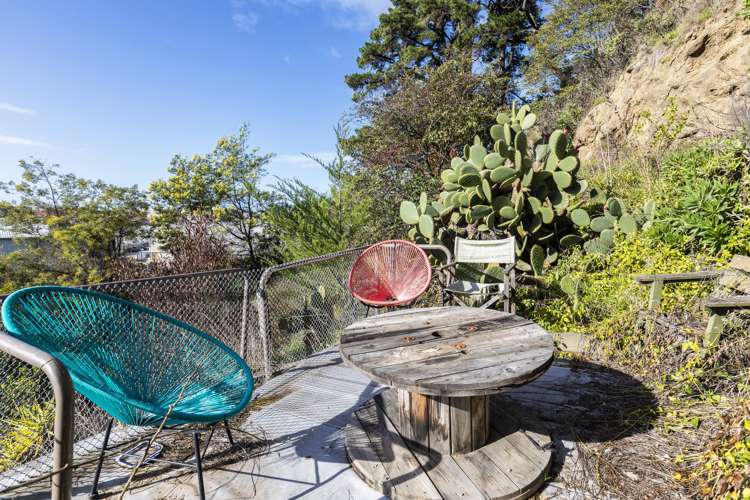 333 Port Hills Road Hillsborough_18