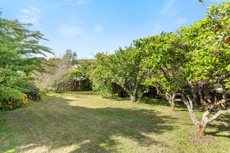 67 Caronia Crescent Lynfield_19