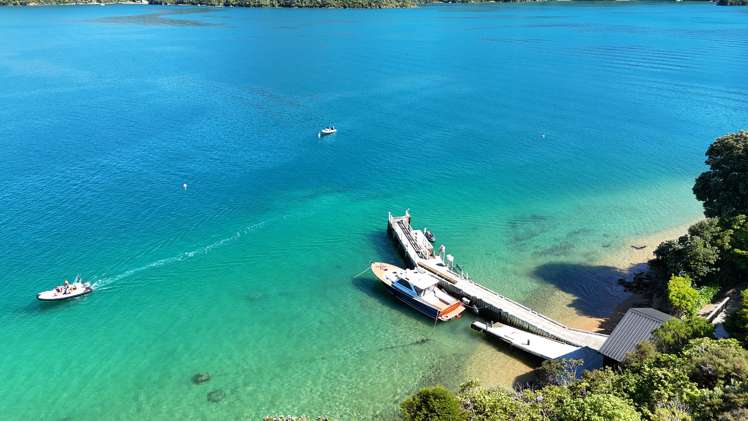 Blackwood Bay Queen Charlotte Sound_40