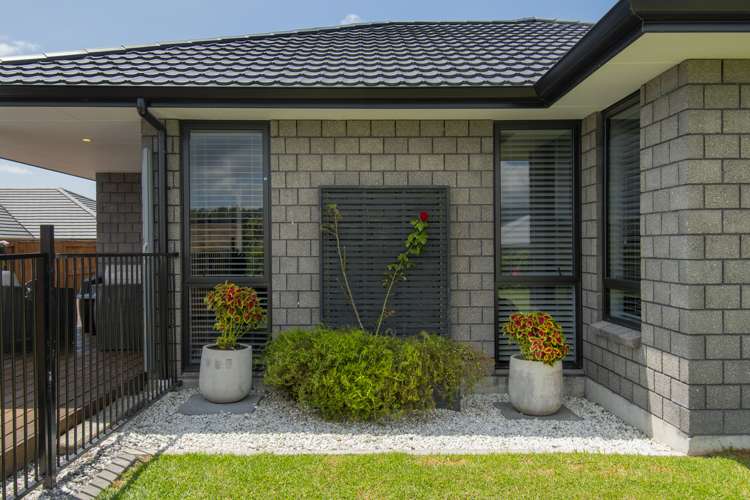 58 Tynan Street Te Puke_16