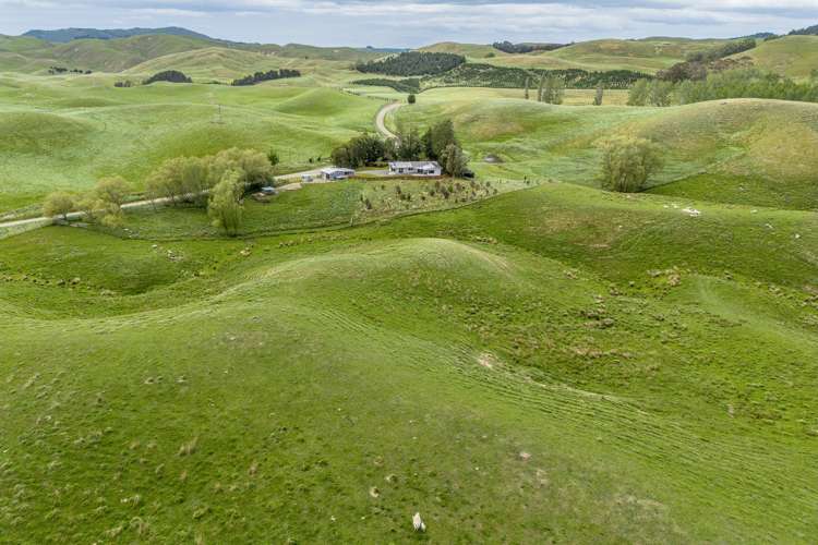 209 Pattison Road Waipukurau_1