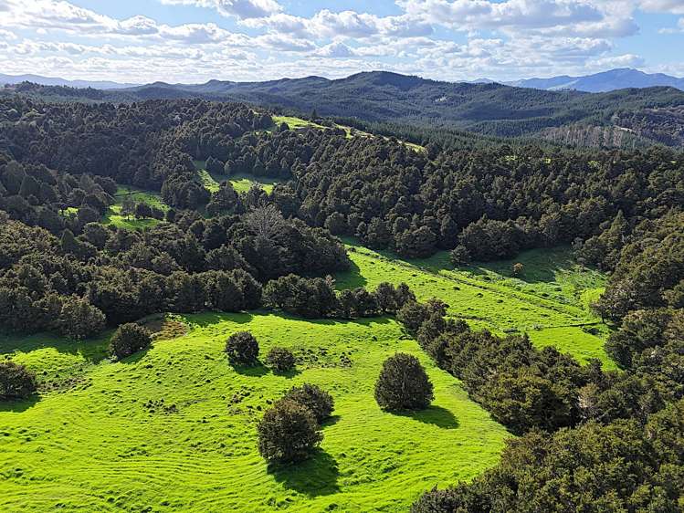 Ounuwhao Road Dargaville Surrounds_17