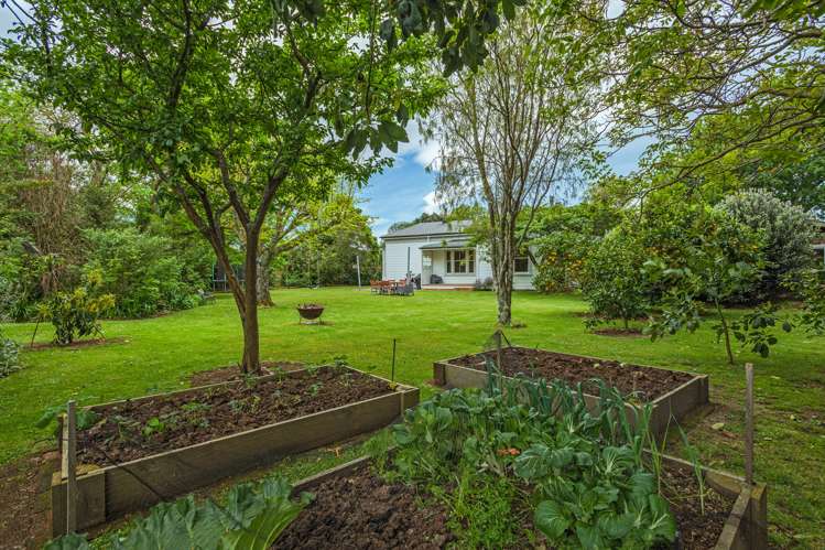 269 Cambridge Avenue Ashhurst_27