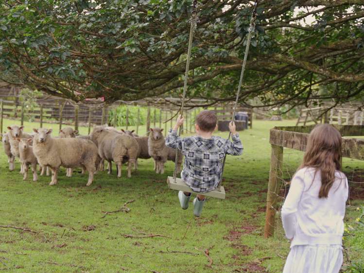 34 Golf Harbour Drive Maunu_1