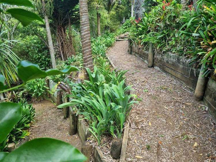 43Z Blue Gum Lane Kerikeri_34