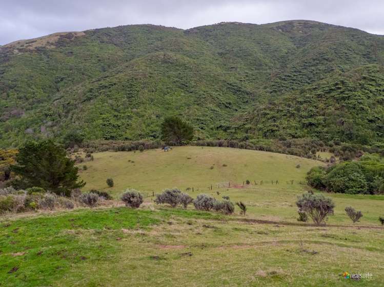 65 Kaitangata Crescent Kelson_8