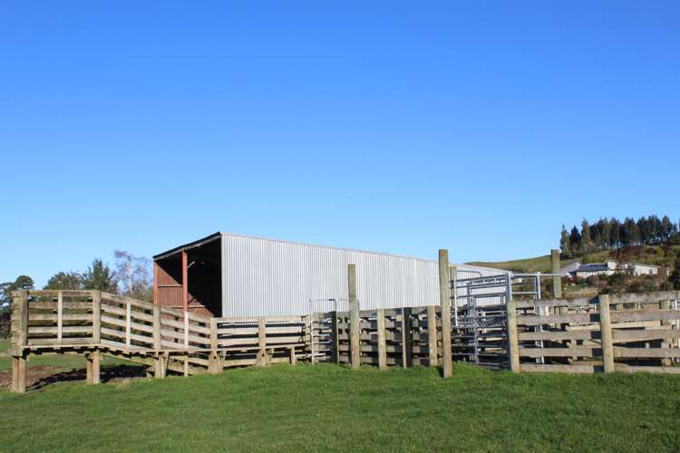 75647 State Highway 2 Norsewood_10