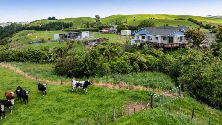 131 Tiromoana Road Maata_25