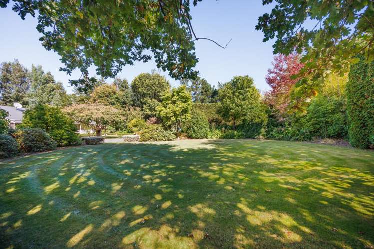 774 Taonui Road Colyton_5