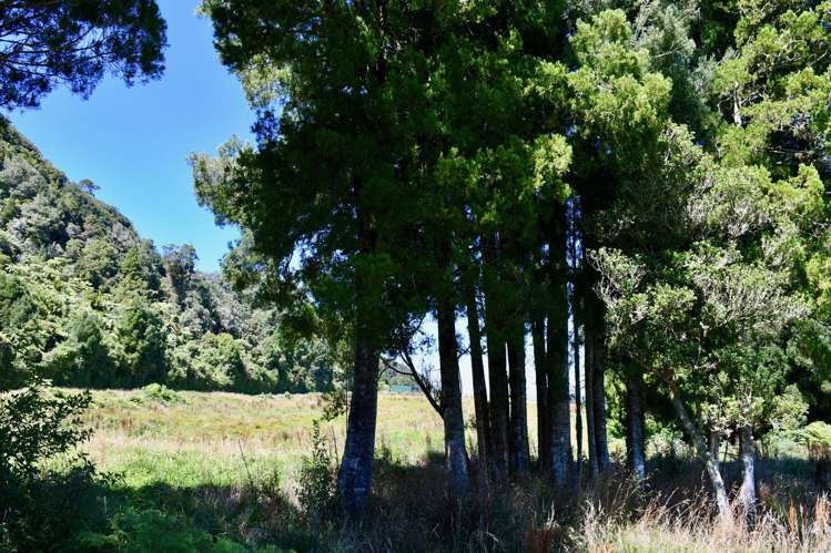 1/Lot 1 Kongahu Road Little Wanganui_12