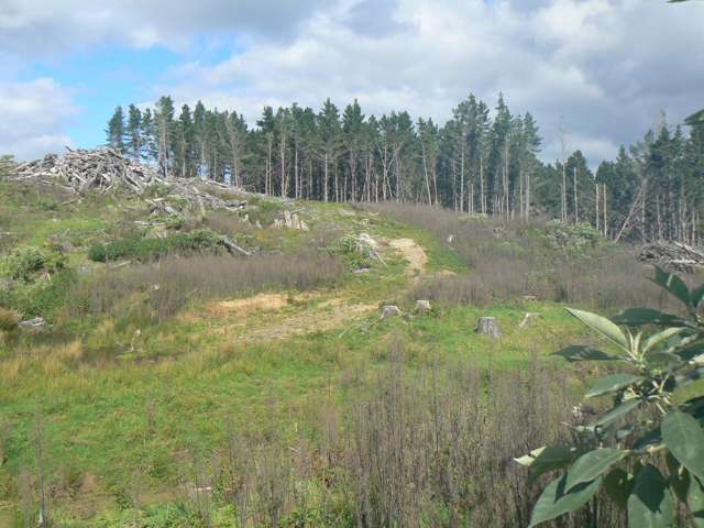 Lot 27 Iwitaua Road Mangamuka_4