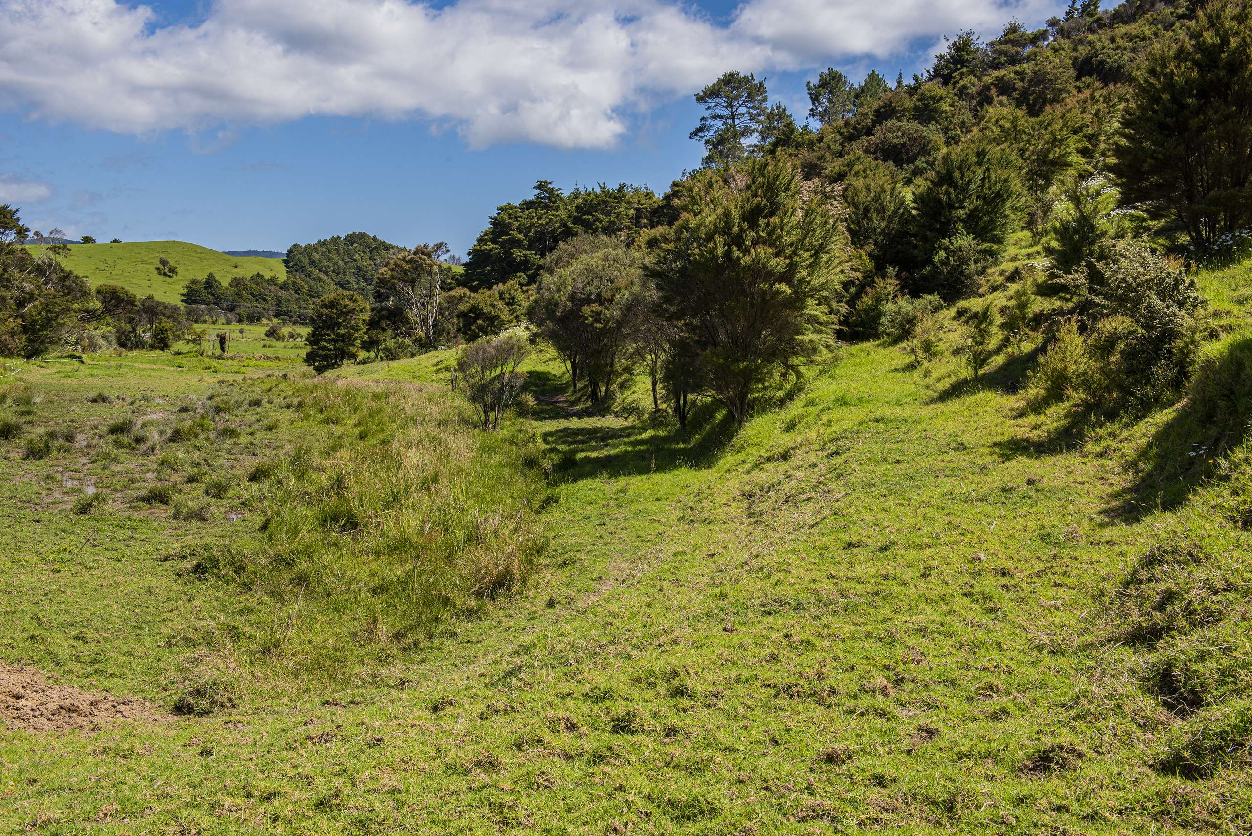 Hailes Road Whananaki Whangārei Houses for Sale One Roof