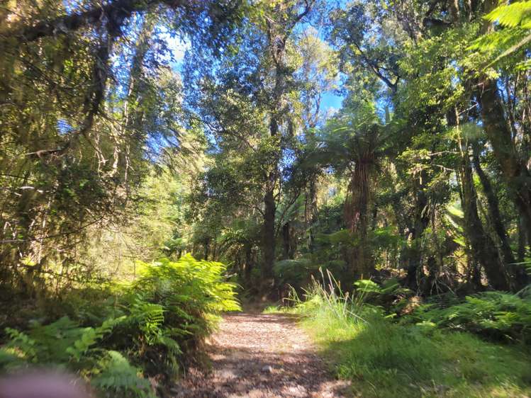 254 Doughboy Road Kokatahi_42