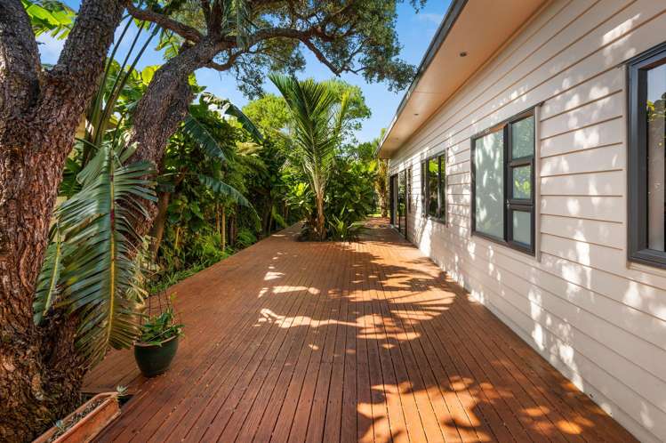 6 Hall Street Napier South_21