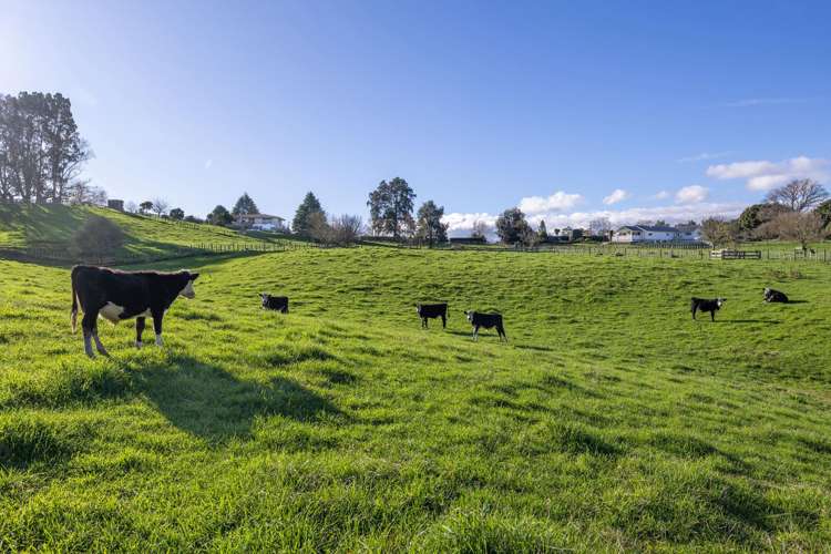 4953 Ohaupo Road Te Awamutu_46