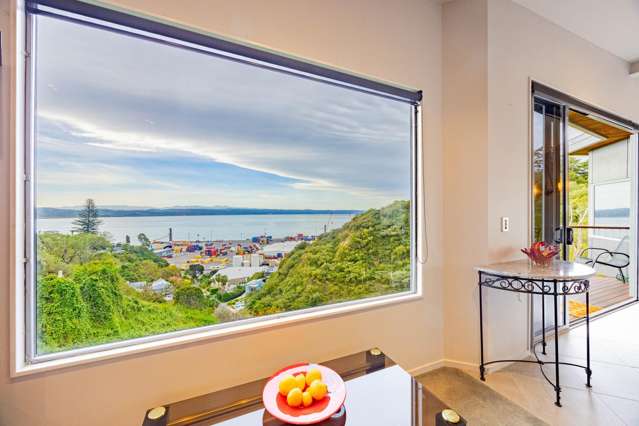 4B Seapoint Road Bluff Hill_4