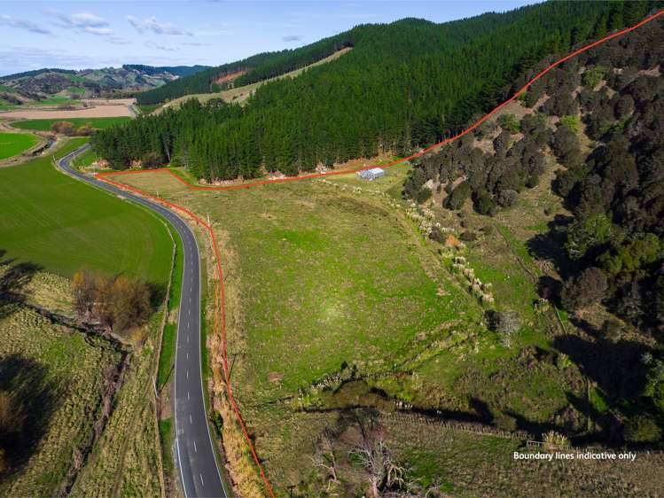 1247 Wharekopae Road Ngatapa_19