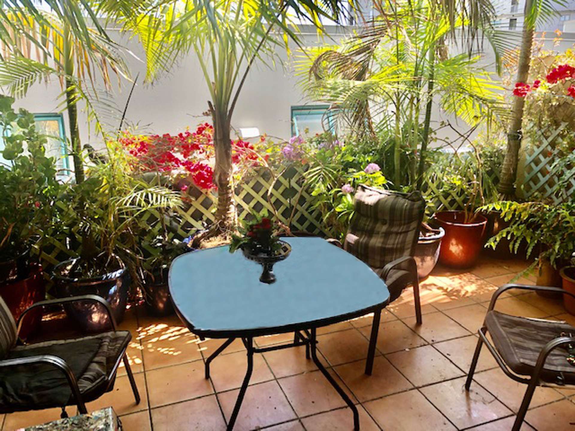 5c Boardman Lane Auckland Central_0