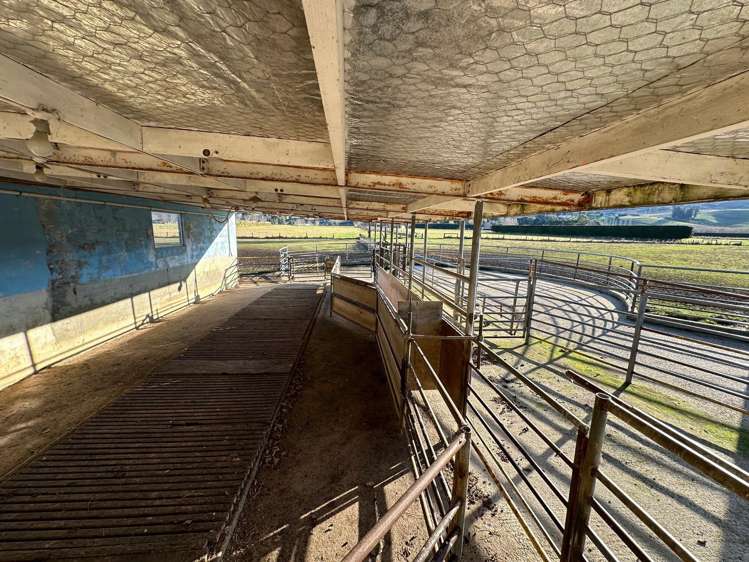 108 Hazlett Road North Taieri_9