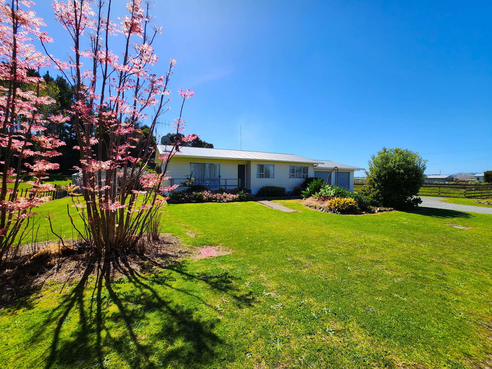 18 Spring Street Dargaville_0