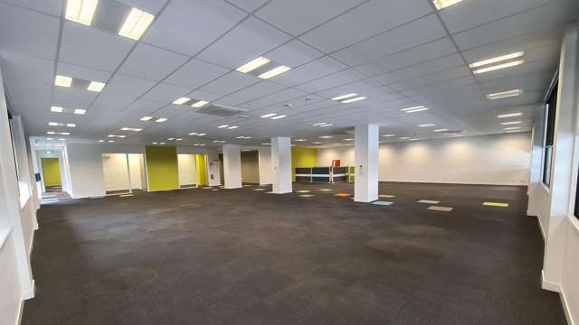 Level 1/87 First Avenue Tauranga Central_4