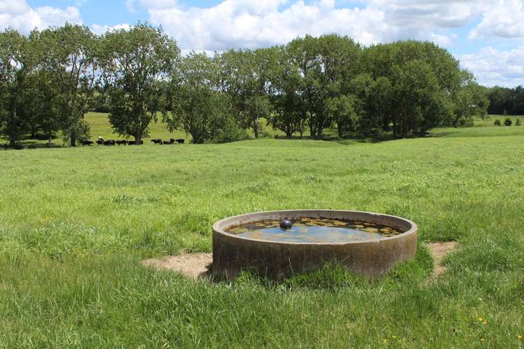 269 Kokopu Block Road Kokopu_14