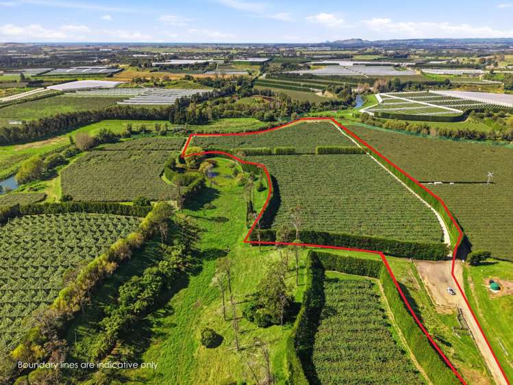 206 Casuarina Drive Te Puke_11