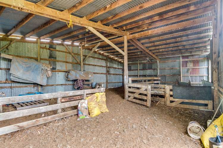 1268 Waihau Road Hastings Country_11