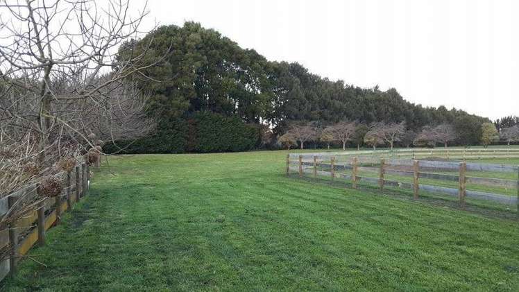 10a Brighton Grove Newstead_7